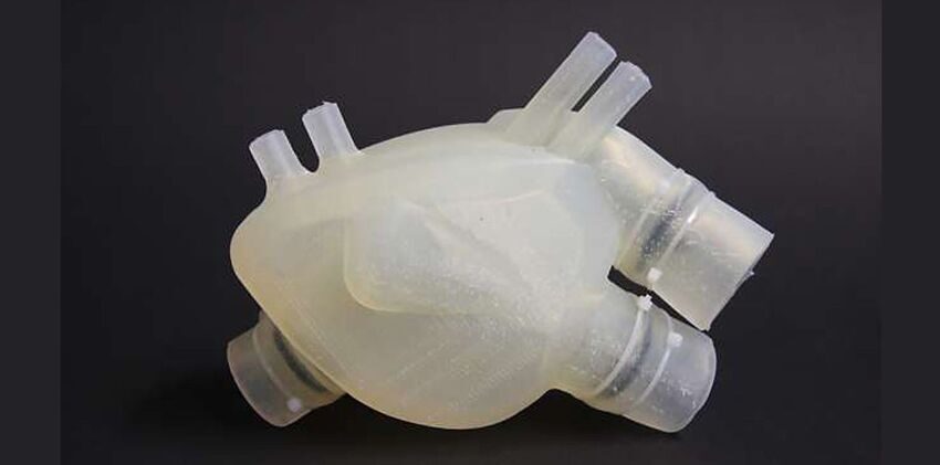 В Швейцарии  с помощью 3D-печати напечатали сердце, способное биться