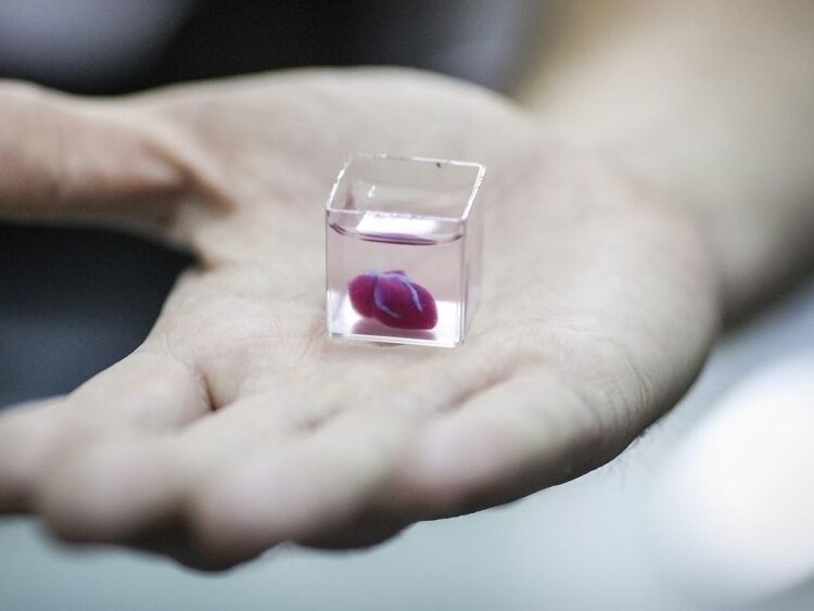 Живое сердце было напечатано с помощью 3D-печати