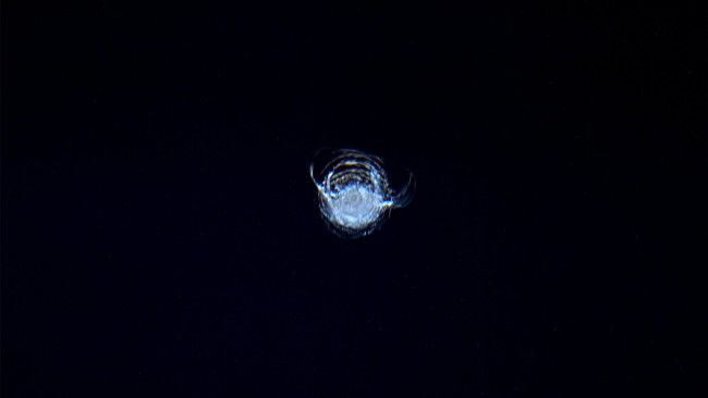 Иллюминатор МКС  теперь "украшен" сколом от удара космического мусора