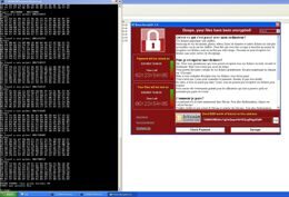 Появился наполовину рабочий способ расшифровки данных после атаки WannaCry для Windows XP
