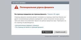 Фишинг и его десять наиболее часто встречаемых проявлений